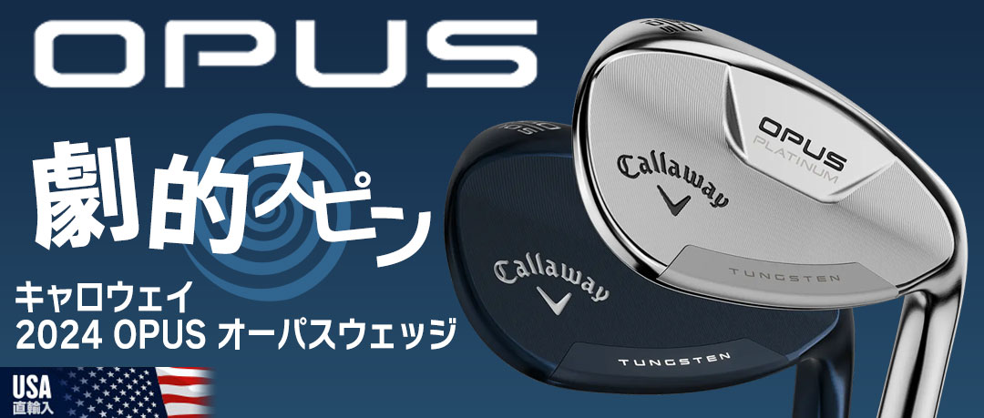新品ゴルフクラブセット レディース 無くなっ 8本 青 ブルー  