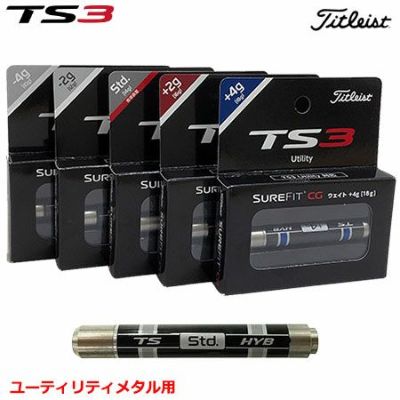 【毎日発送】タイトリスト TS3H用 SureFit CG ウェイト ユーティリティ用 日本正規品【TS3H用】【SURE FIT CG ウェイト】