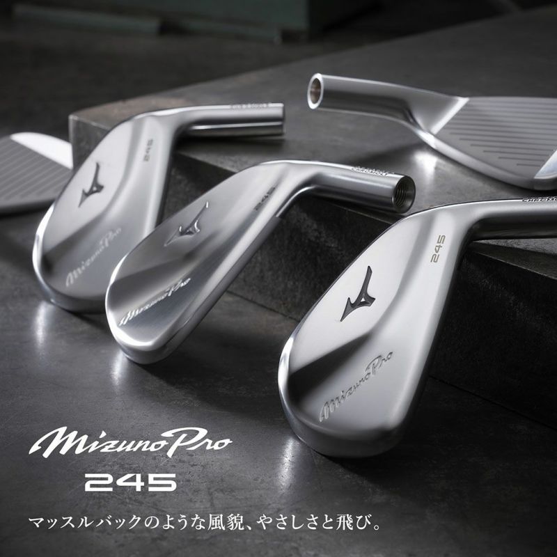 ミズノMizunoPro245アイアン6本セットNo.5～9PWメンズ右用DynamicGold95スチールシャフト2023年モデル日本正規品