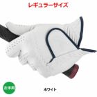 キャスコシルキーフィット羊革グローブメンズ左手用レギュラーサイズGF-23301KASCO2023年モデル日本正規品