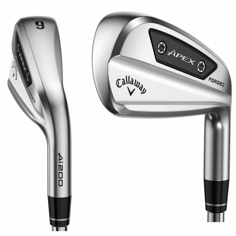 キャロウェイ APEX Ai200 アイアン 6本セット (#5-#9,P) メンズ 右用 N.S.PRO 950GH neo スチールシャフト Callaway  日本正規品 2024年モデル ゴルフクラブ アイアンセット | ジーパーズ公式オンラインショップ（JYPER'S）