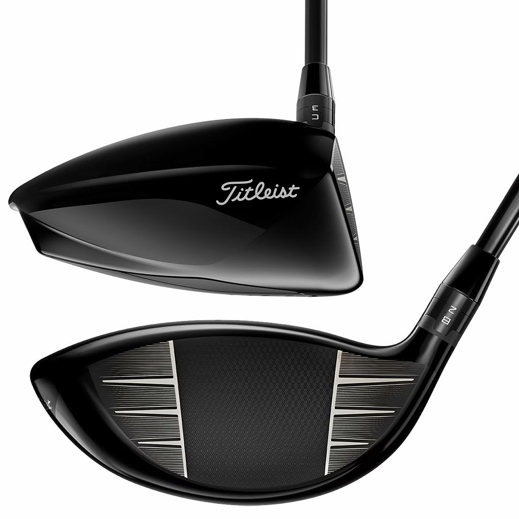 公式] WORKS GOLF(ワークスゴルフ) ドライバー マキシマックス 