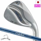 キャスコDOLPHINWEDGEDW-125GforLADIESウェッジレディース右用セミグースネックKASCOゴルフクラブ2025年モデル日本正規品