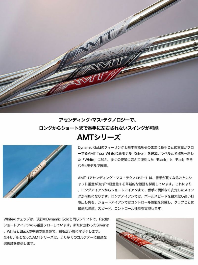 トゥルーテンパーAMTWHITEアセンディング･マス･テクノロジーホワイトアイアン用